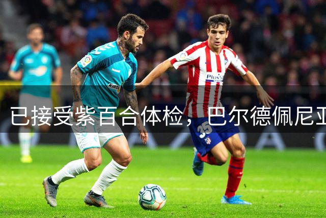 已接受紫百合体检，巴尔德佩尼亚斯社媒告别皇马