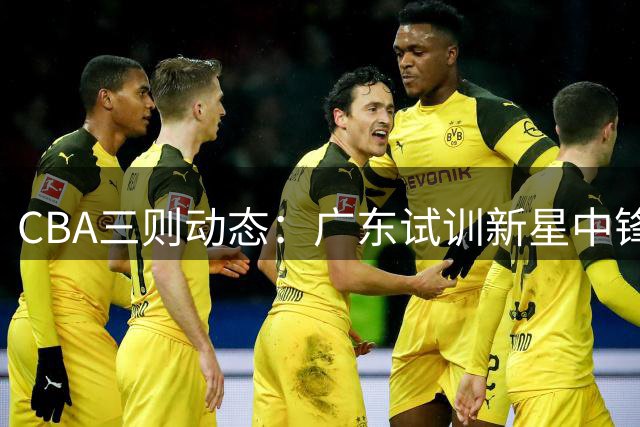 CBA三则动态：广东试训新星中锋 张镇麟签约李宁 两俱乐部股权遭冻结